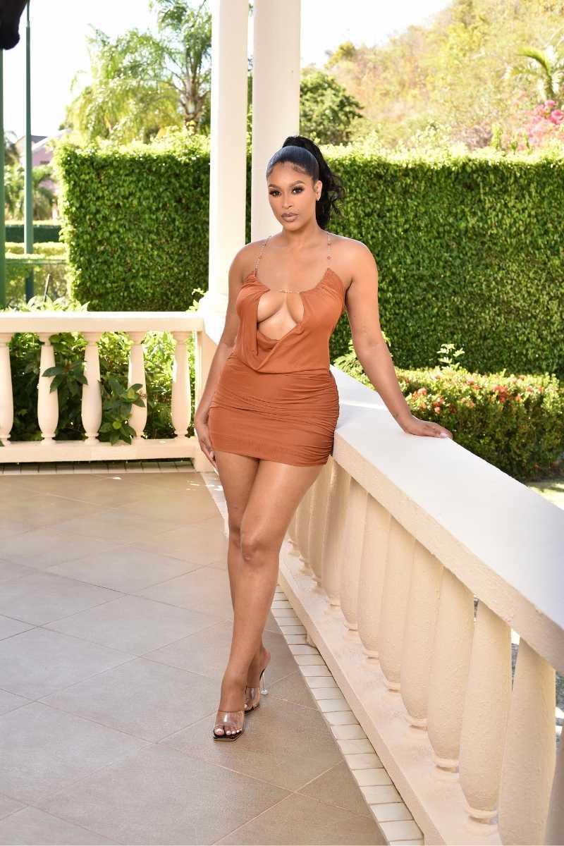 The Aria Pucker Mesh Cowl Mini Dress