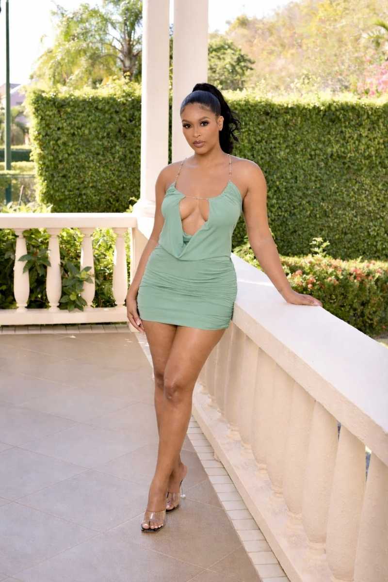 The Aria Pucker Mesh Cowl Mini Dress