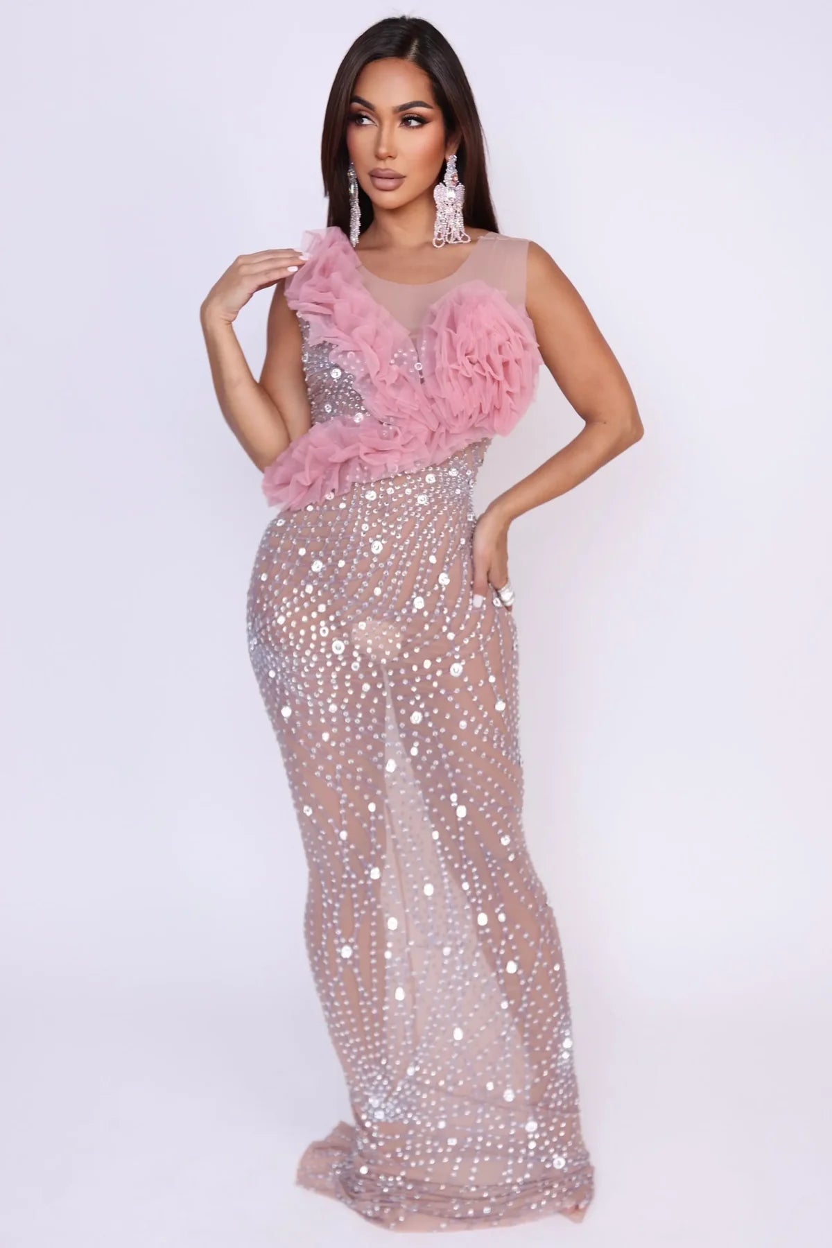 Rose All Night Mesh Dress